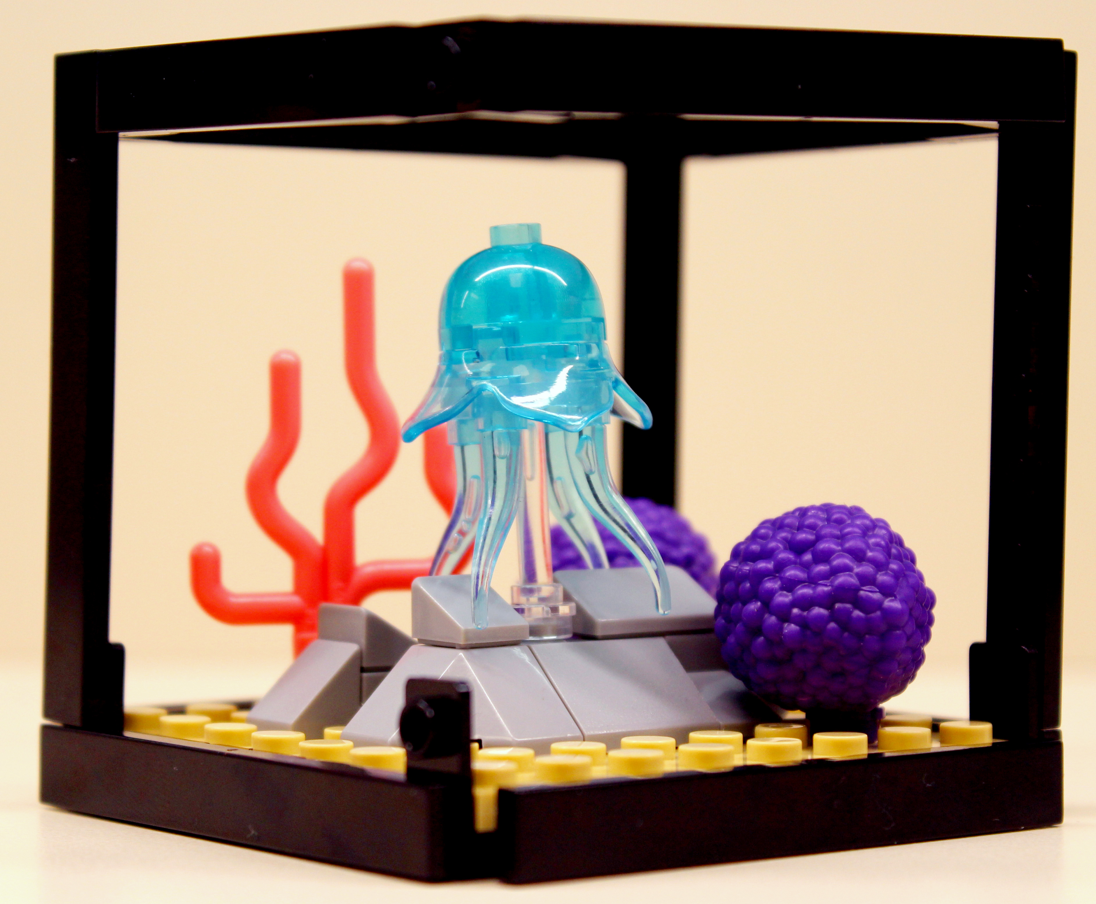 teen aquarium