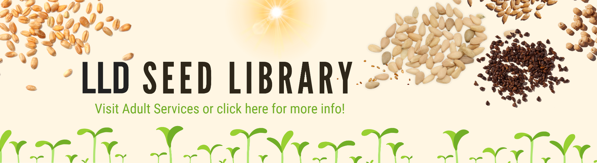 Home Lisle Library District